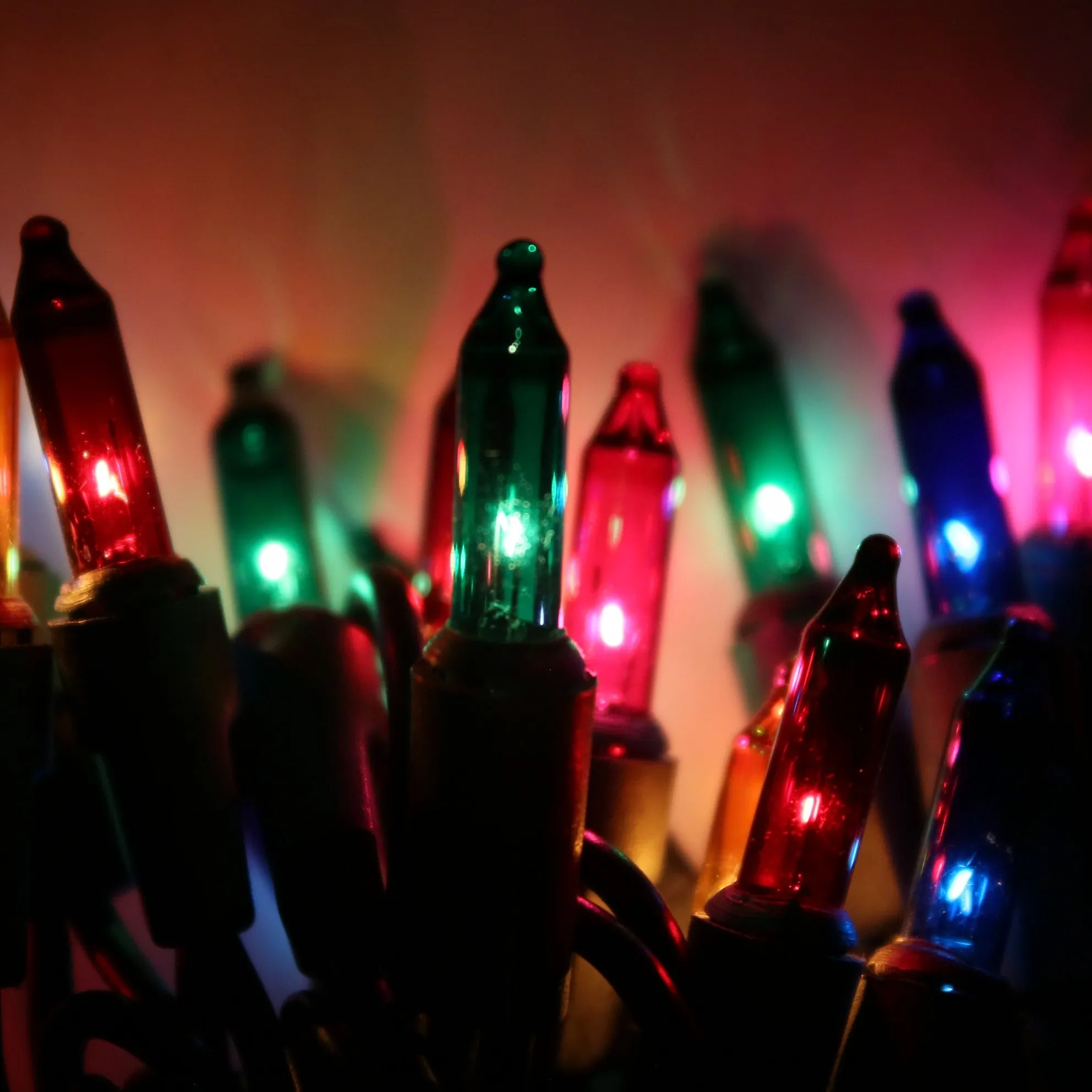 50-bulb Multicolor Mini Lights, 4" Spacing, Black Wire